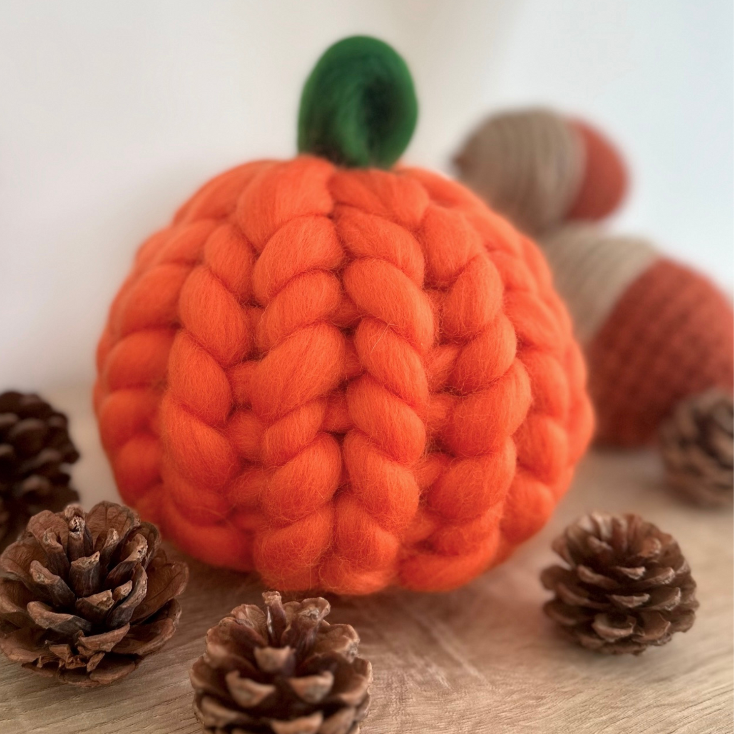 Chunky Merino Pumpkin Workshop - Tu-Mundo Prestatyn - 3rd October