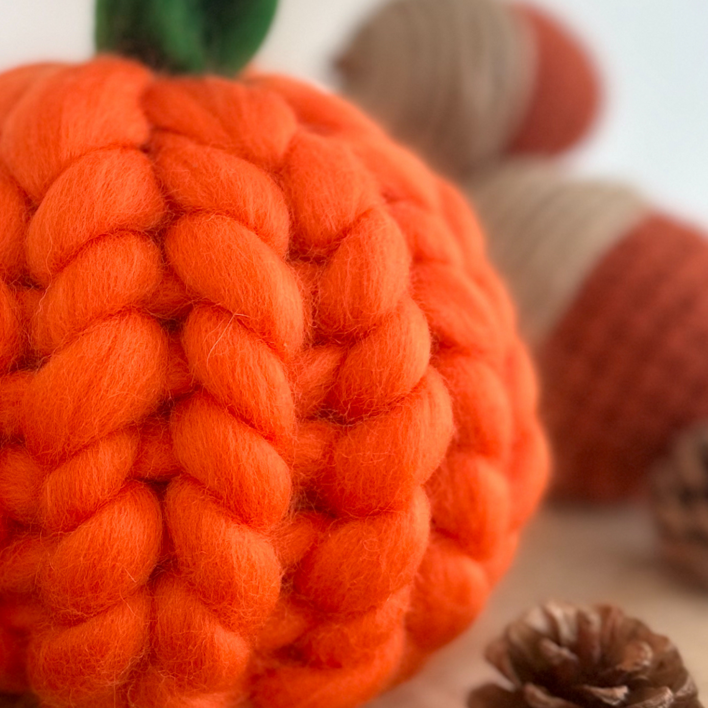 Chunky Merino Pumpkin Workshop - Tu-Mundo Prestatyn - 3rd October