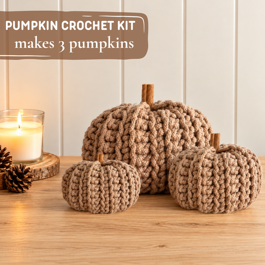 OCT PRE-ORDER | Pumpkin Crochet Kit – Set of 3 | Dispatch mid-October