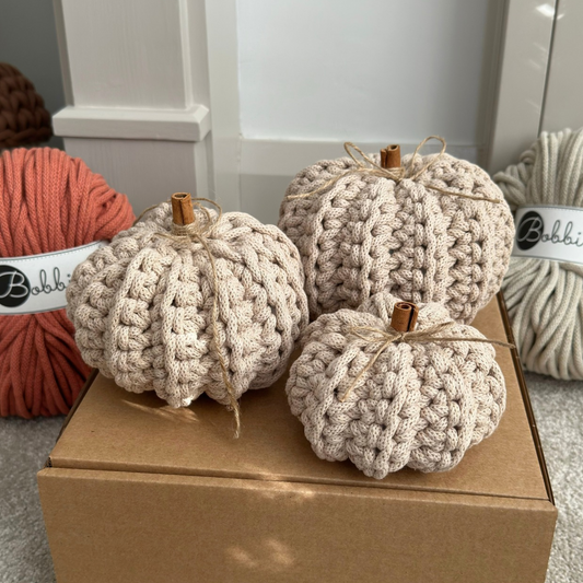 OCT PRE-ORDER | Pumpkin Crochet Kit – Set of 3 | Dispatch mid-October